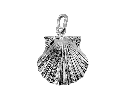 Scallop Small